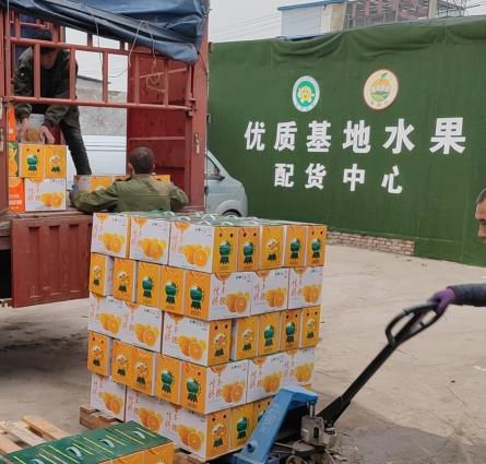 正宗赣南脐橙配送